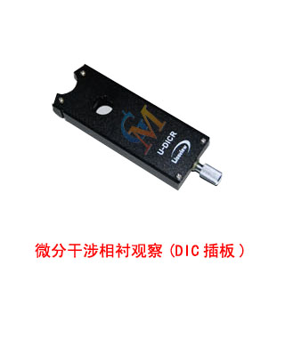 微分干涉相衬观察(DIC插板).jpg