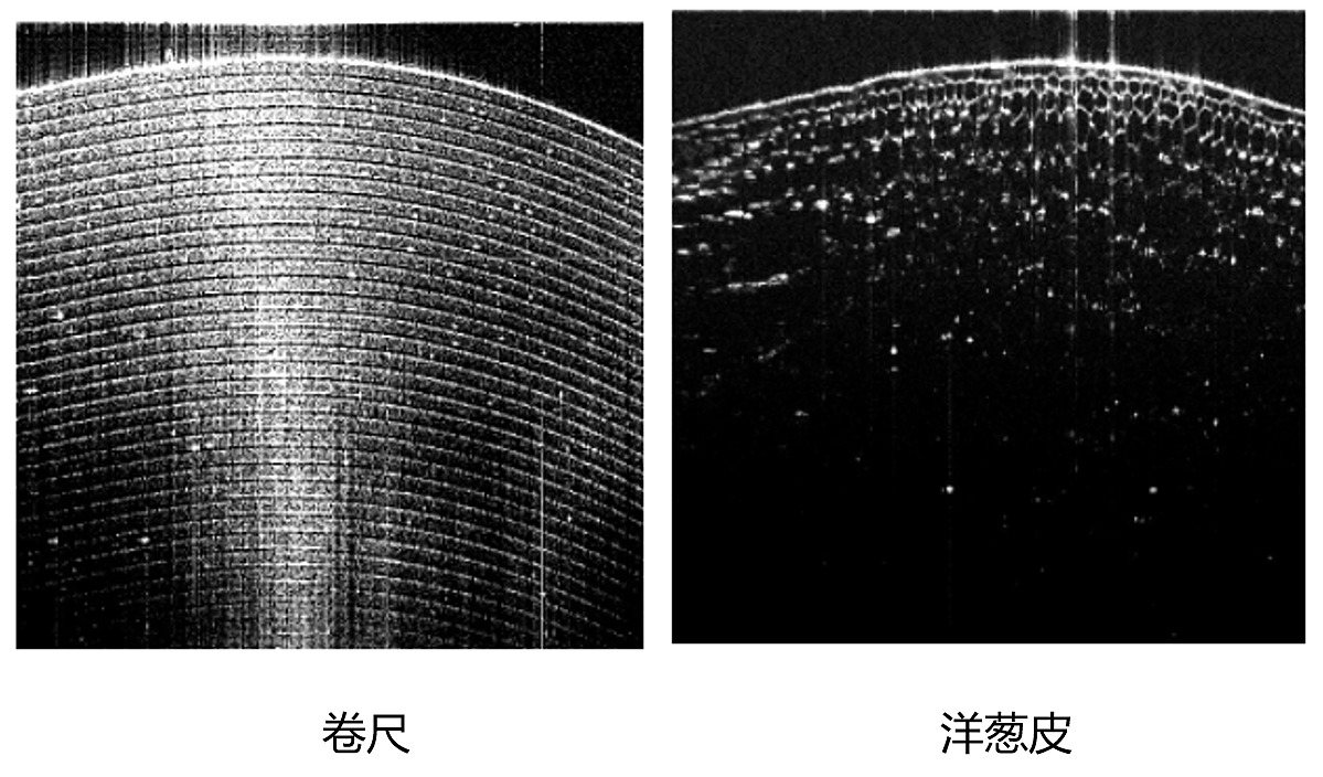 2345截图20210130212937.jpg