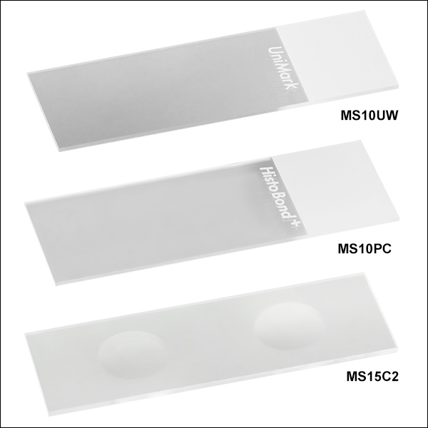 9707_MS10UW_15C2_10PC_SGL.jpg