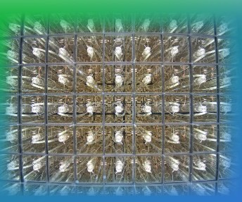 20230822-1063684460.png