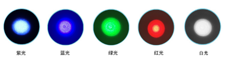 截图20220216152452.png