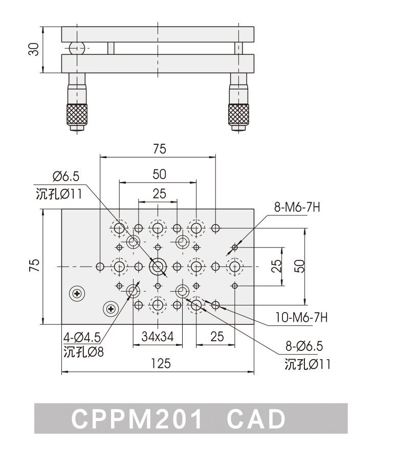 CPPM201-CAD.jpg