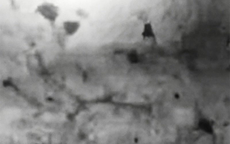 1784168807686143.jpg