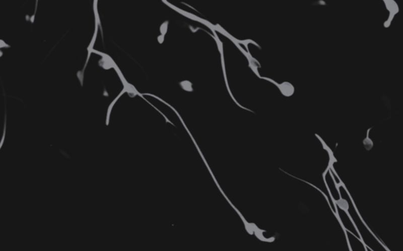 1784774315193858.png