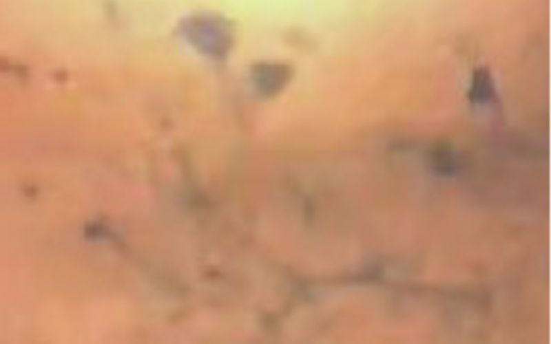 1785205650127761.png