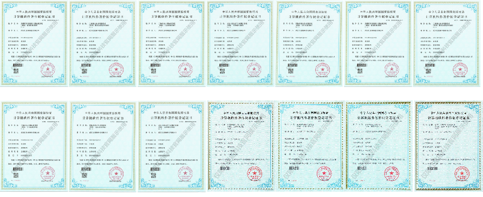 武汉红星杨科技有限公司.png