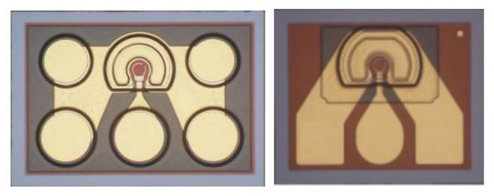 1662005869930359.jpg