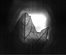 clip_image012.png