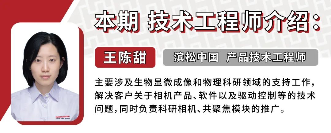 王.jpg
