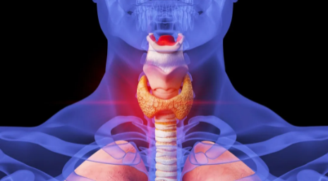 1772432667437072.png 2.png