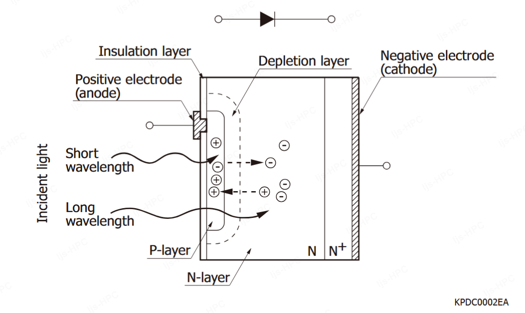 1772437140473238.png 2.png