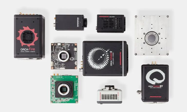 1772603244173520.jpg 9.jpg