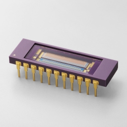 g9494-256d 铟镓砷线阵图像传感器