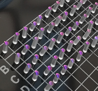 福州光骅达光电有限公司