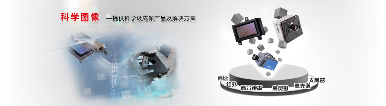 凌云光