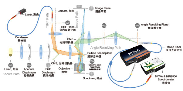 显微角分辨光谱系统（ARM）工作原理