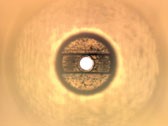 2520-2.jpg