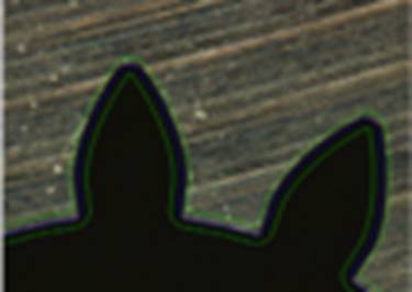 1500016957.1159.jpg