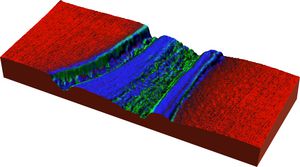 LCR WoodCells 3D