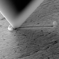 PI88 Nanoscratch