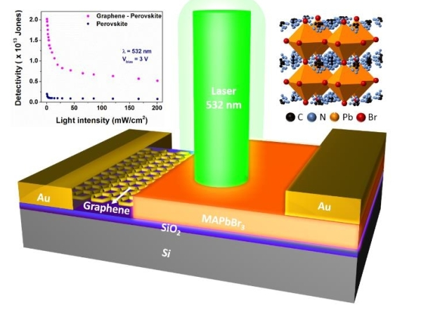 研究团队制出高灵敏度钙钛矿单晶石墨烯复合垂直结构光电探测器
