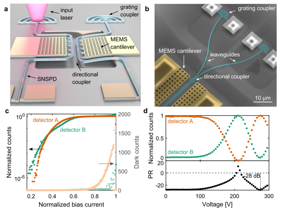基于片上单光子探测器的可重构光子-光电汇